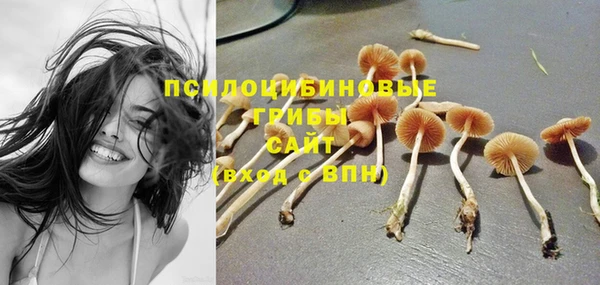 мяу мяу кристалл Новозыбков