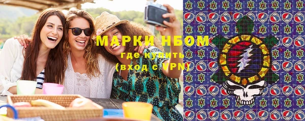 дмт Новокубанск