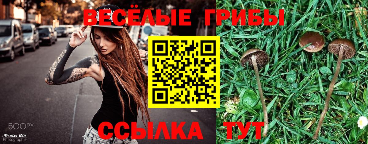 Галлюциногенные грибы Psilocybe Первоуральск